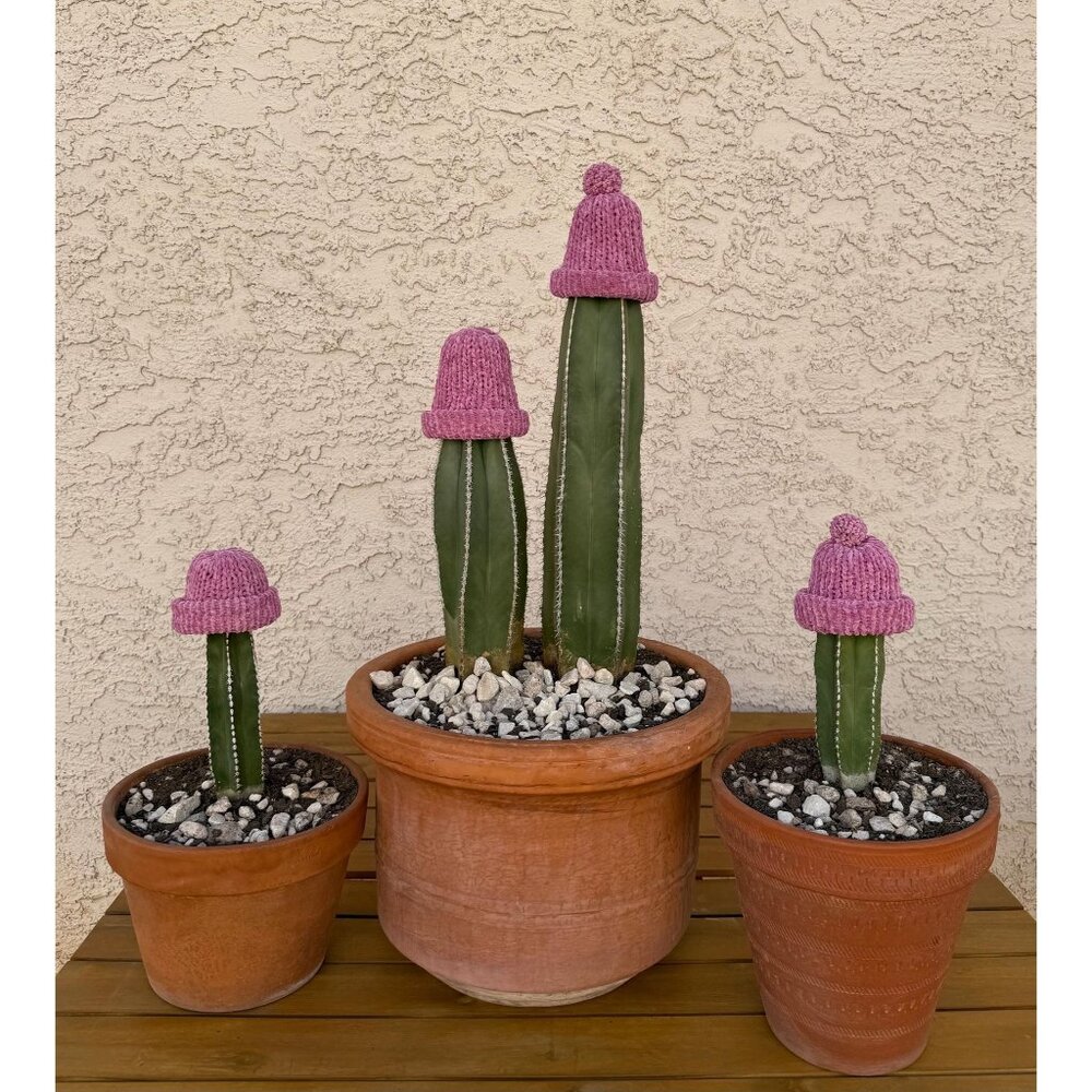 Chenille Knit Cactus Hat – Pink Mauve, Frost Protection Cozy with Foam Cup